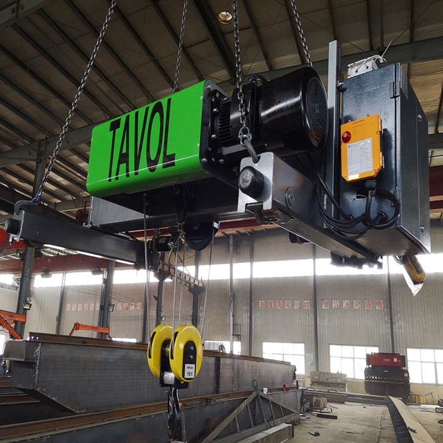 Euro type electric hoist