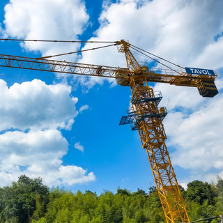 QTZ40(4808) 4ton Topkits Tower Crane of Construction