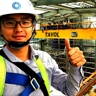 QD Model Double Girder Overhead Travelling Crane | Heavy Duty Bridge Crane | Tavol Group