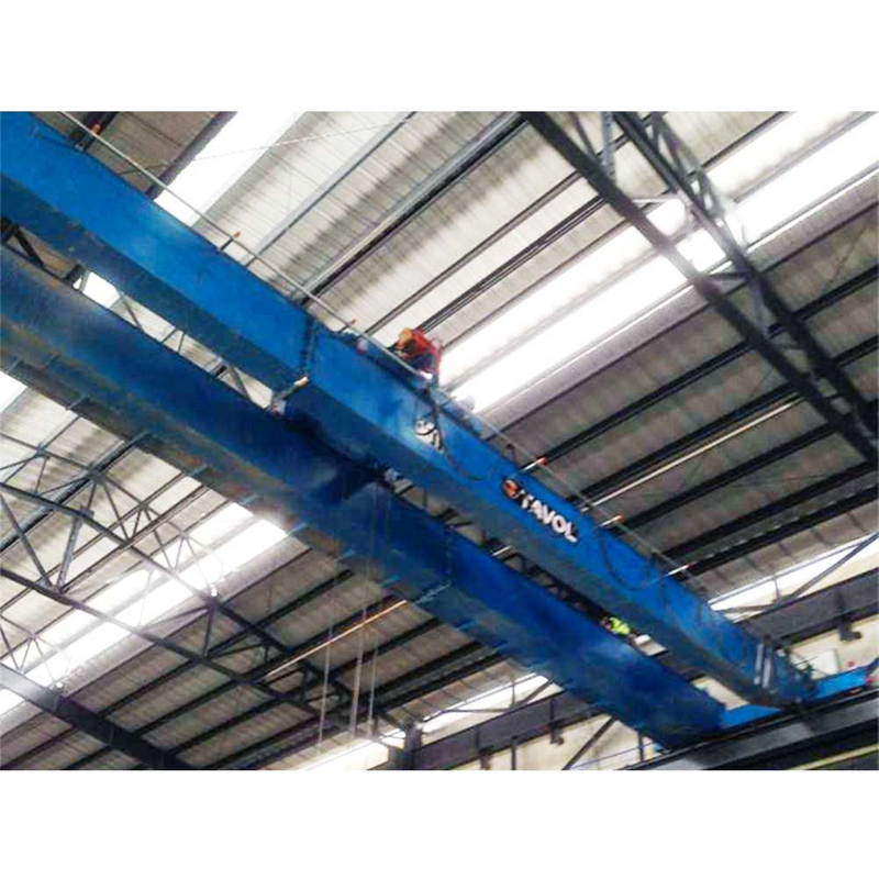 Tavol Brand LH Model Double Beam Bridge Crane Popular sale with Nice Price 