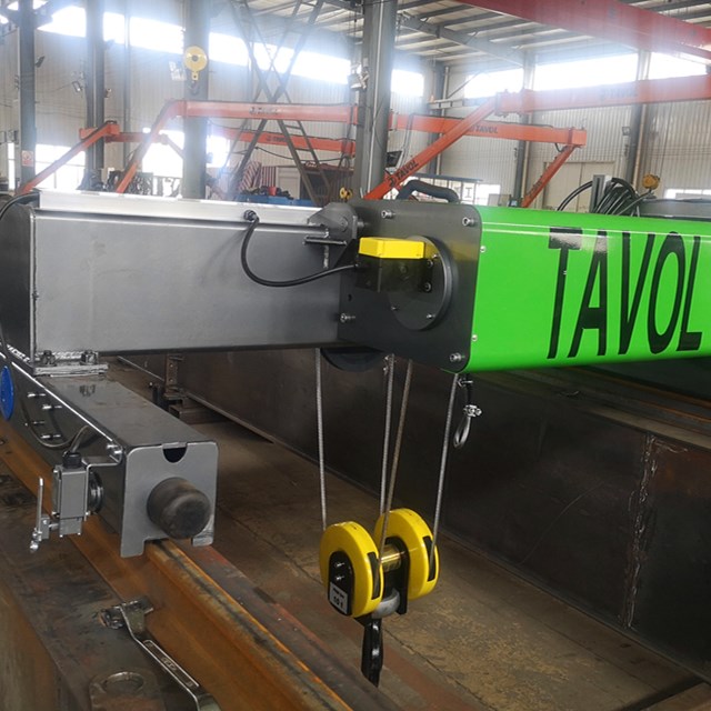 Euro hoist Trolley