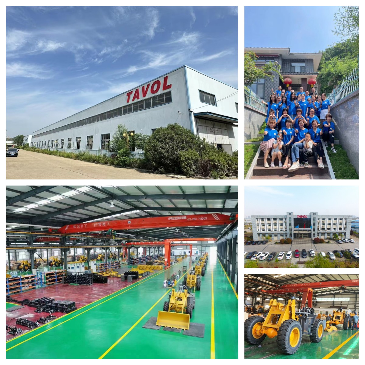 Tavol 公司图片1